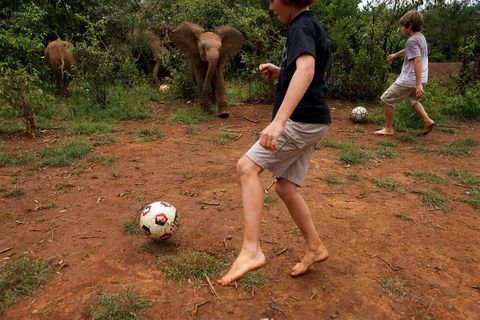 In het Nationale Park Nairobi in Kenia spelen jongens in 2010 een potje voetbal met verweesde olifantenkalfjes