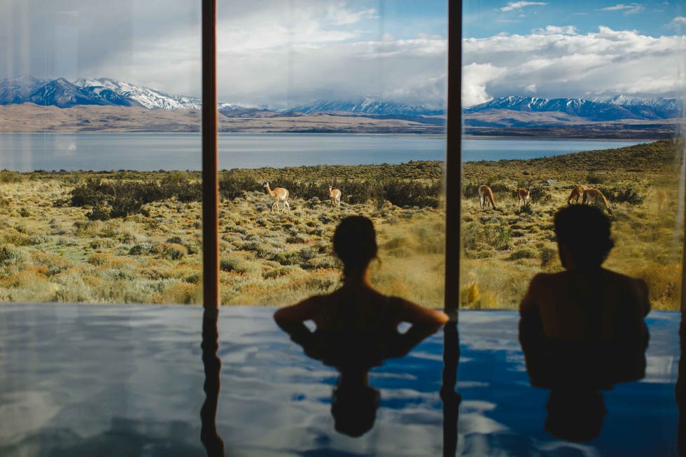 an indoor pool looking out onto mountains and wildlife