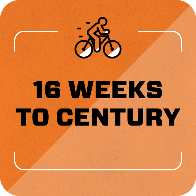 16 weeks to century