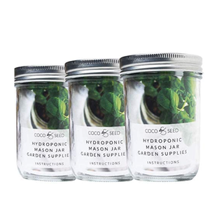 coco and seed hydroponic mason jar garden superfoods set
