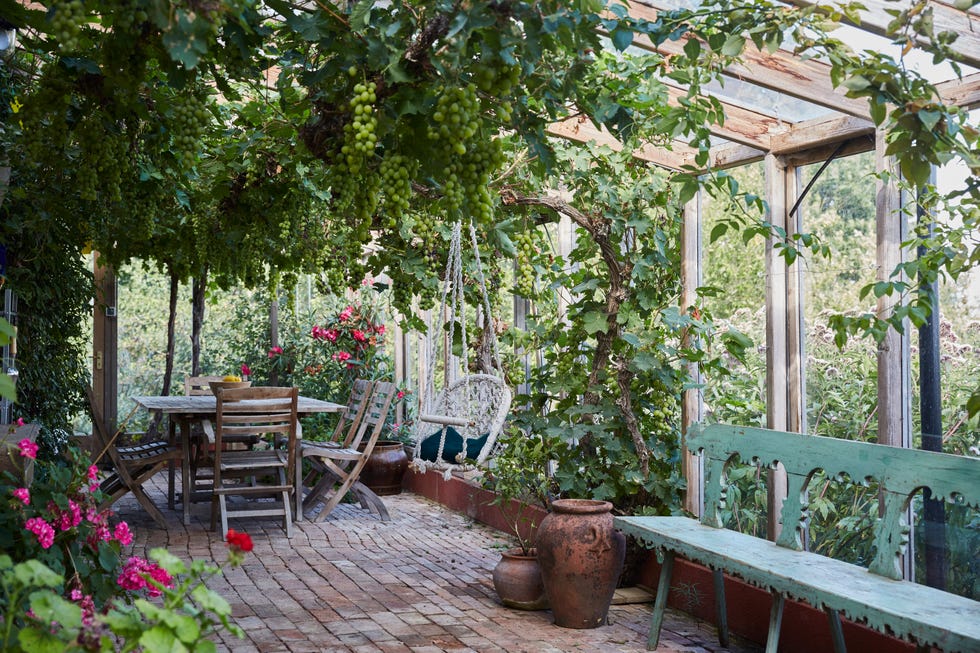 small garden ideas