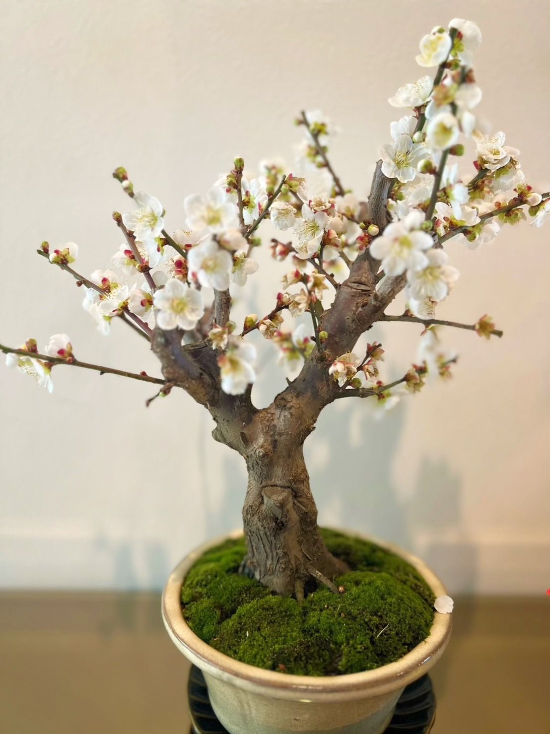新品　お花　ミラー　手鏡　ブーケ　プリザード　ヴァンサンカン　君島十和子 新品お花ミラー手鏡ブーケプリザードヴァンサンカン君島十和子