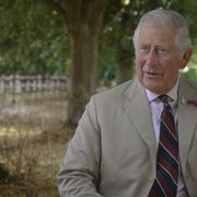 Prince Charles BBC documentary 