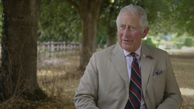 Prince Charles BBC documentary 