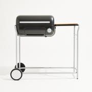 DMG spark grill