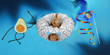 18 best cat toys to entertain bored kitties