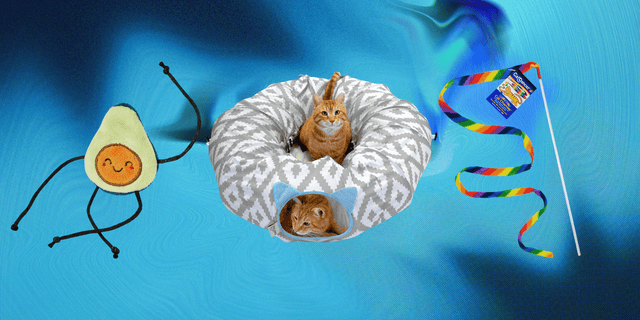 18 best cat toys to entertain bored kitties