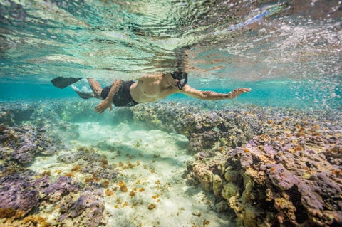 Voor een vent van wie elke seconde wordt gecontroleerd en die altijd in pak en das rondloopt moet een vakantie in het midden van de oceaan wel iets bijzonders zijn geweest zegt fotograaf Brian Skerry Hij hoopt dat zijn foto van een snorkelende Barack Obama aandacht zal vragen voor de bescherming van de wereldzeen