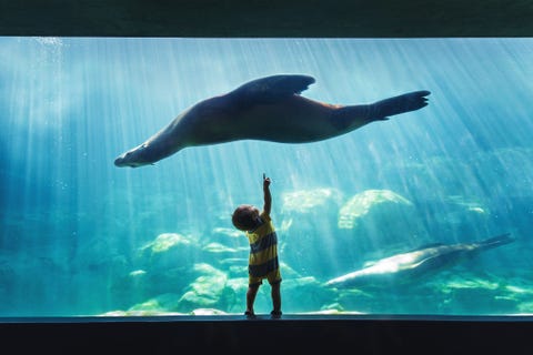 Deze foto van Your Shotfotograaf Vironica Goldens zoon vertelt een heel persoonlijk verhaal Na jaren van onvruchtbaarheid ben ik erg gelukkig dat we zwanger konden worden met de hulp van IVF zegt ze Mijn kinderen hebben de manier waarop ik naar de wereld kijk veranderd gewone dingen worden buitengewoon door de ogen van kinderen