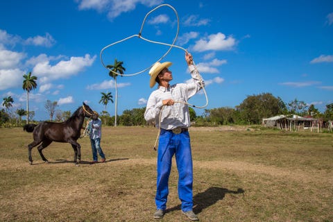 Deze jonge man in Havana in Cuba laat zijn lassokunsten zien Nu het toerisme in Cuba toeneemt zijn de Cubanen bang dat het boerenleven in populariteit zal afnemen