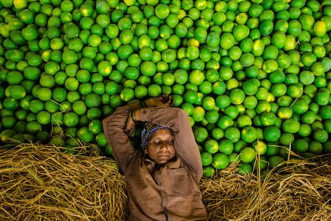 Een fruitverkoper doet een dutje na haar lunch op de markt van Kothapet nabij Hyderabad in India De fruitmarkt van Kothapet is een van de grootste in zijn soort in de staat Telangana