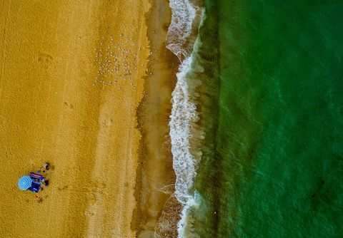 Een familie deelt een strook strand met een paar zeemeeuwen vlakbij Mordialloc in Australi Your Shotfotograaf Peter Virag zegt dat hij gek is op de waanzinnige kleuren van de parasol en de handdoeken en het smaragdgroene water dat afsteekt tegen het goudgele zand  wat toevallig ook de nationale kleuren van Australi zijn
