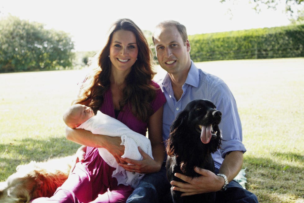 bucklebury, berkshire   august 2013  editorial use only   no sales in this handout image provided by kensington palace, catherine, duchess of cambridge and prince william, duke of cambridge pose for a photograph with their son, prince george alexander louis of cambridge, surrounded by lupo, the couples cocker spaniel, and tilly the retriever a middleton family pet in the garden of the middleton family home in august 2013 in bucklebury, berkshire  photo by michael middleton   wpa poolgetty images