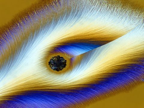 Onder een helderveldmicroscoop en in gepolariseerd licht laat de Duitse fotograaf Karl Deckart vitamineC er regelrecht psychedelisch uitzien