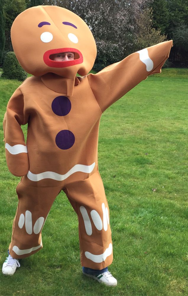 Gingerbread costume Gingerbread costume