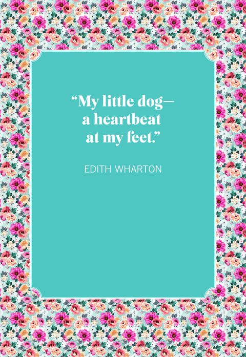 dog quotes edith wharton