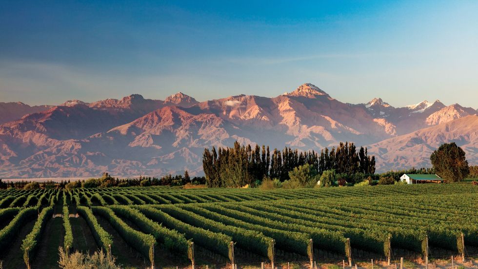 De drie belangrijkste wijnstreken in de provincie Maip Lujan de Cuyo en de Ucovallei liggen aan de prachtige Ruta 40 in Argentini een van de langste snelwegen ter wereld