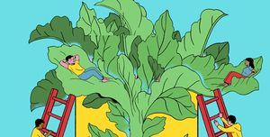improve you mental health illustration ladders, plant, giant beanstalk
