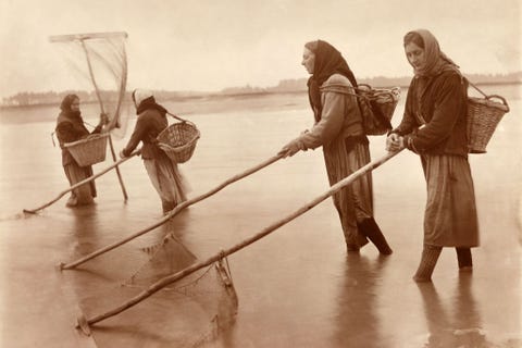 In het Franse Normandi halen vissersvrouwen hun netten bij laagtij door het water om garnalen te vangen 1914