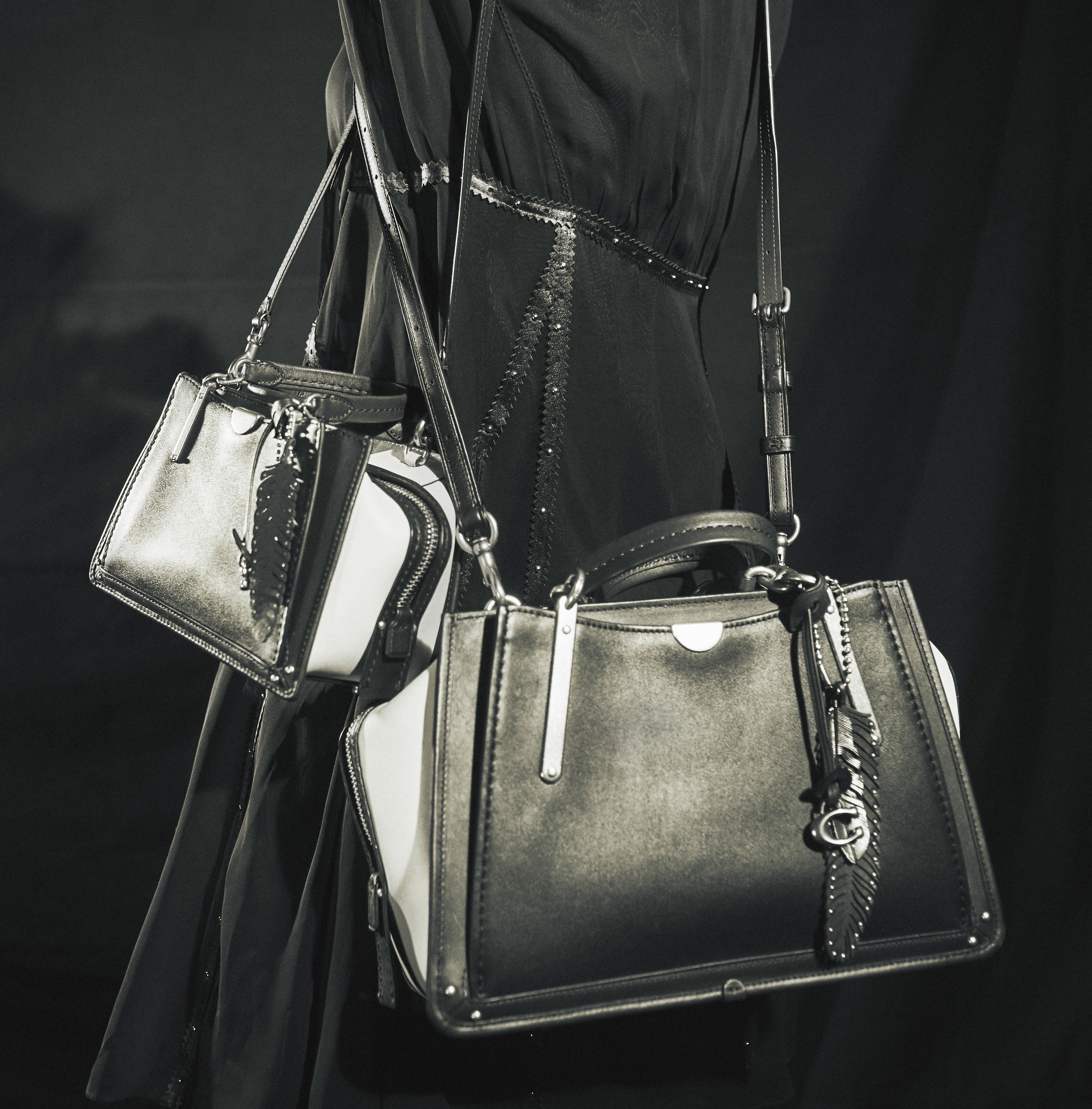 Delvaux Introduces the Limited Edition Dreamer Bag