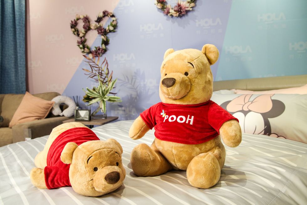 Stuffed toy, Plush, Toy, Teddy bear, Textile, Room, Bear, Furniture, 