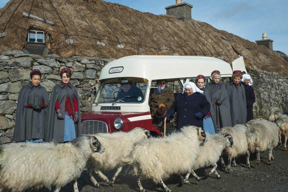 Sheep, Sheep, Shepherd, Herd, Livestock, Cow-goat family, Herding, Herder, Goatherd, Goats, 