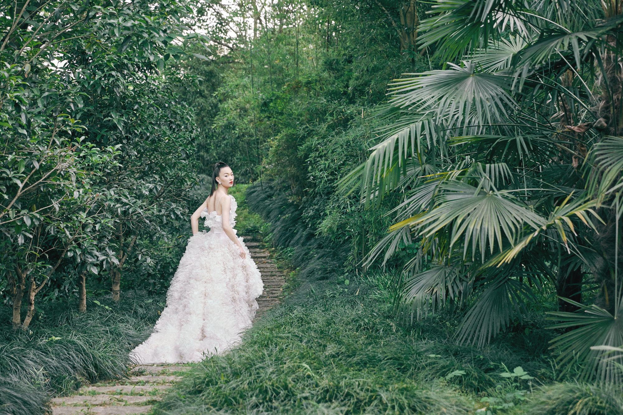 Photograph, Dress, Wedding dress, Bride, Vegetation, Tree, Green, Gown, Bridal clothing, Botany, 