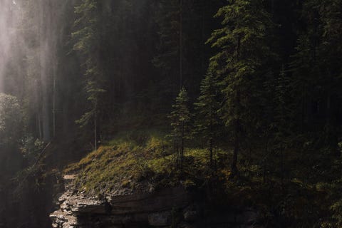 JASPER NATIONAL PARK CANADAIn het zonlicht dat tussen de dichte begroeiing in het Jasper National Park doorvalt licht nevel op van de Athabasca Falls Ik heb altijd al een bijzonder ontzag gehad voor de bergen vertelt fotograaf Amber Bracken Ik weet nog dat ik het heel bijzonder vond om door mist te rijden op grotere hoogten als kind was ik ervan overtuigd dat we dwars door de wolken gingen