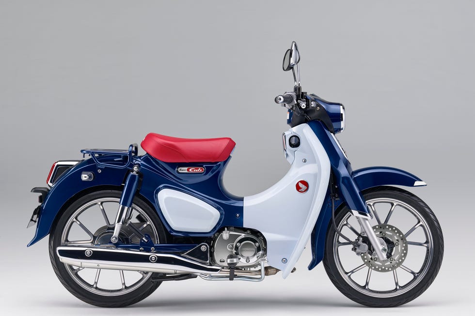 Honda Is Bringing the Retro-Tastic Super Cub and the Monkey Back to the US