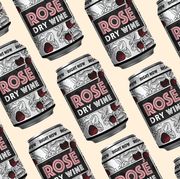 Canned Wine -Right Now Dry Rosé Wine