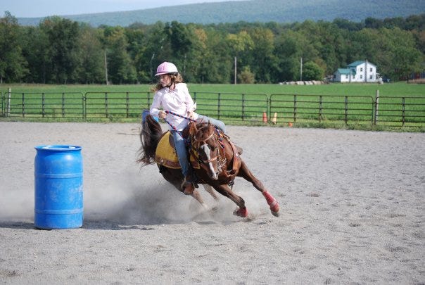 Animal sports, Sports, Bridle, Rein, Horse, Traditional sport, Halter, Barrel racing, Saddle, Rodeo, 
