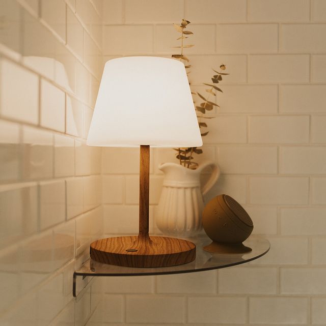 viral tiktok shower lamp