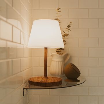 viral tiktok shower lamp