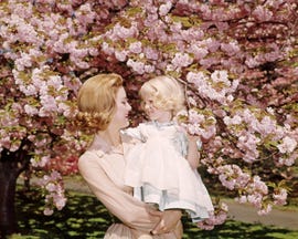 1950s 1960s redhead mother holding blonde girl daughter among cherry tree blossoms (photo by h. armstrong roberts/classicstock/getty images)
