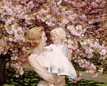 1950s 1960s redhead mother holding blonde girl daughter among cherry tree blossoms (photo by h. armstrong roberts/classicstock/getty images)