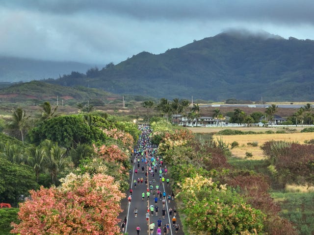 kauai half marathon overhead shot