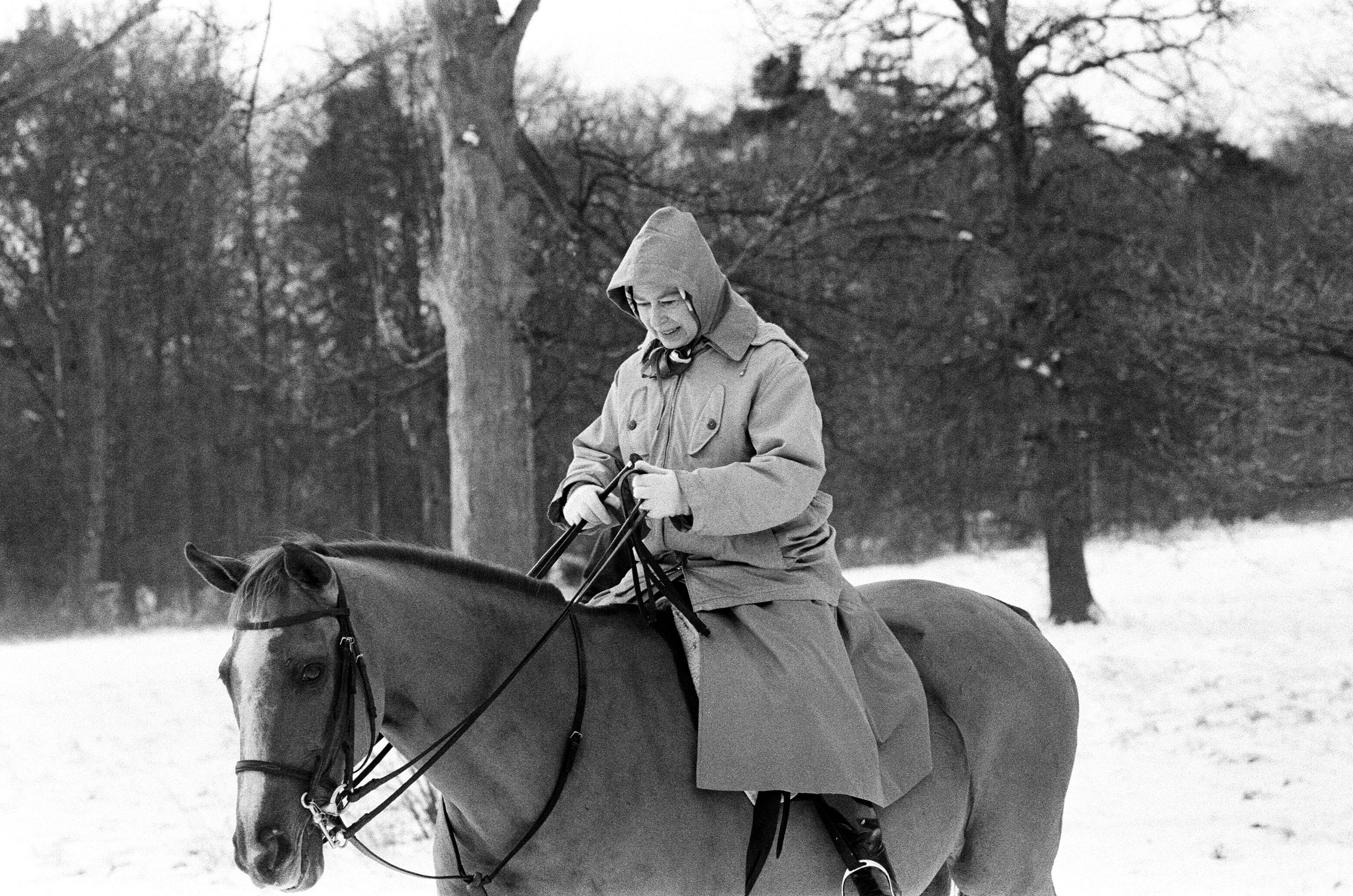 queen christmas memories