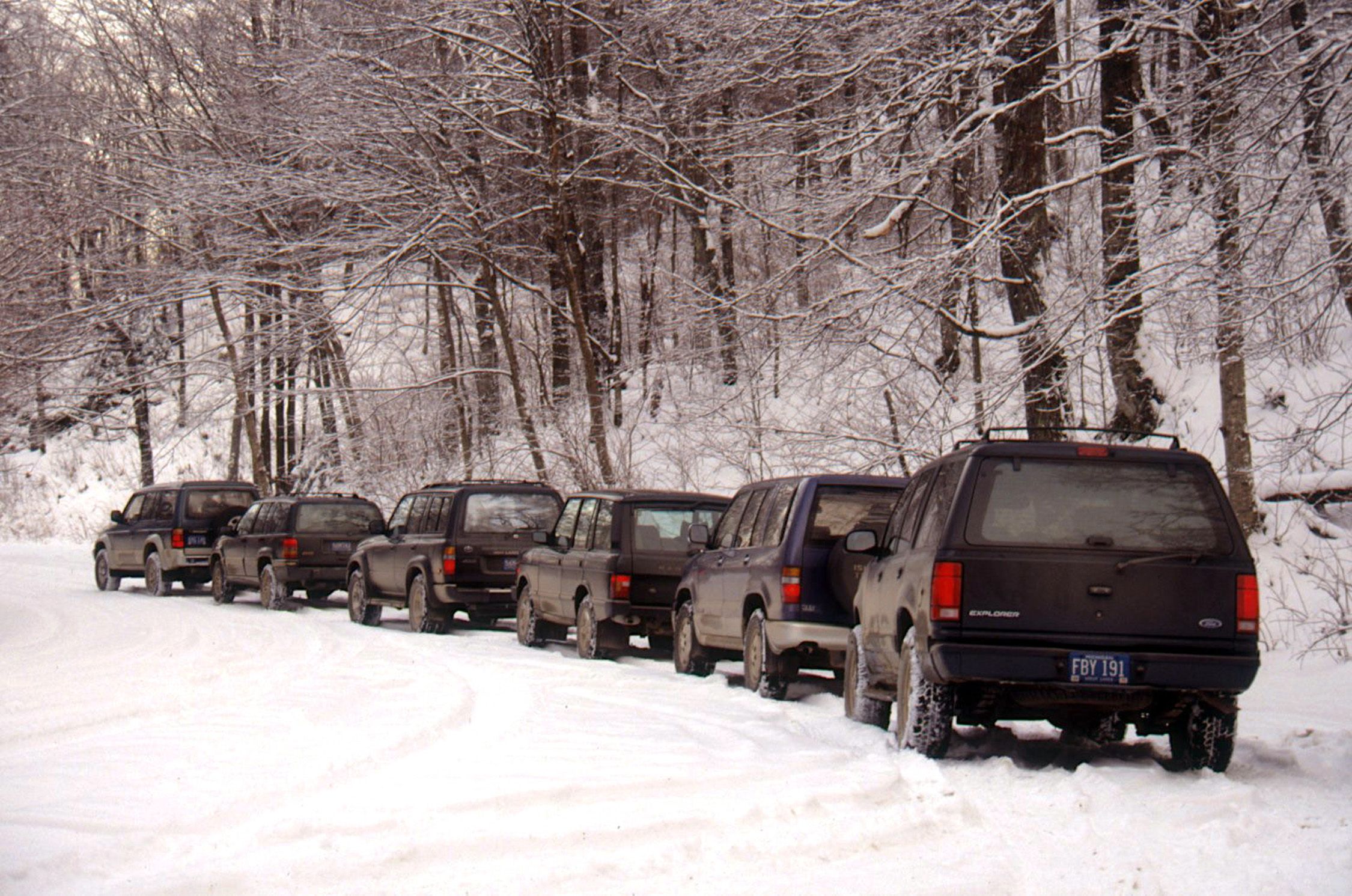 Spiders in winter? - Adirondack Explorer