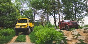 Land vehicle, Vehicle, Off-roading, Car, Off-road vehicle, Tree, Transport, Soil, Automotive exterior, Grass, 