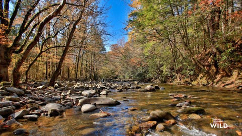 Great Smoky Mountains National Park