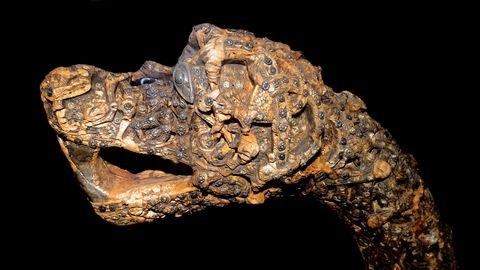 Dit artefact met de aanduiding Barok nummer 1 is een van de vijf gestileerde dierkoppen van hout die in 1904 werden ontdekt in een scheepsgraf op het land van de boerderij Oseberg in de Noorse provincie Vestfold Vier van de dierkoppen werden gebundeld in het grafruim gevonden de vijfde werd op het voordek aangetroffen