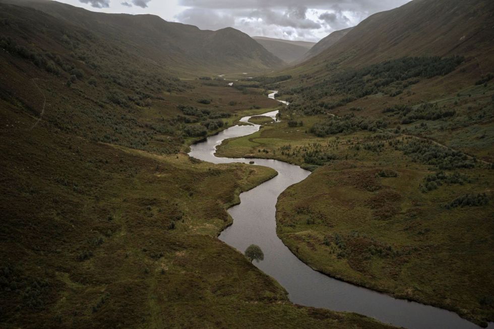 Het Alladale Wilderness Reserve omvat bijna 65 vierkante kilometer aan dramatische valleien meren en kronkelende rivieren in het hart van de Schotse Hooglanden Het reservaat maakt deel uit van een rewildinginitiatief