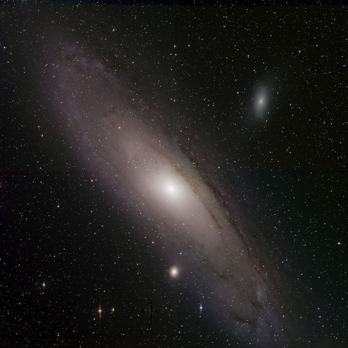 Het Andromedastelsel dat ook bekend staat als Messier 31 straalt op een onlangs vrijgegeven opname van de Zwicky Transient Facility in Californi