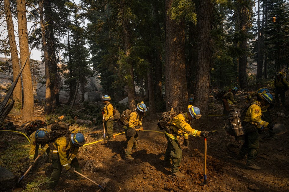 Brenda Rocha Fernández Op de Carson Pass nabij het Kirkwood Mountain Resort in Californi helpt Brenda Rocha Fernndez 20 midden bij het creren van een brandgang rond het Caldor Fire dat op 1 september 2021 in de buurt woedt Op dat moment werkte ze vijf maanden bij CAL FIRE