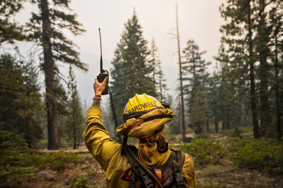 Jamie Bardwell Jamie Bardwell 26 uit El Dorado Californi geeft aanwijzingen aan de bestuurders van een bulldozer en ander zwaar materieel tijdens het doven van brandhaarden en het creren van brandgangen om de uitbreiding van het grote Caldor Fire tegen te gaan 2 september 2021 Bardwell is bezig aan haar derde seizoen bij CAL FIRE en heeft als hoofd zwaar materieel het Caldor Fire bestreden Ik ben mijn hele leven met jongens opgegroeid zegt Bardwell Het feit dat ik nu op het brandweerstation met deze kerels samenwoon doet me helemaal niets Ik denk dat de jongens met wie ik werk mij behandelen als n van hen Er zijn geen scheidslijnen het is gewoon n grote familie