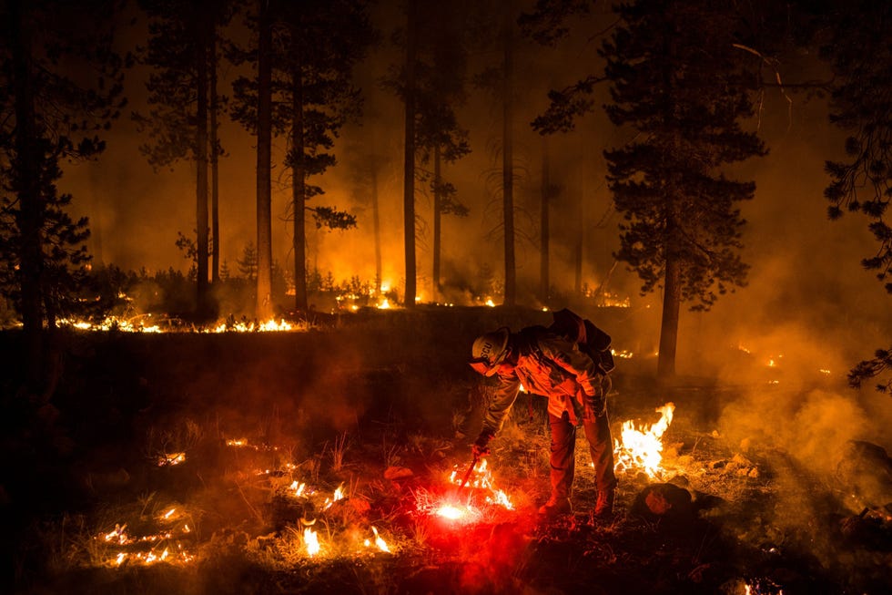 Melissa Bell Melissa Bell 36 leidt werkzaamheden tijdens het Dixie Fire Resterend struikgewas wordt weggehaald nadat het gebied in de as is gelegd want de achtergebleven struiken kunnen gevaarlijke brandstof vormen voor nieuwe branden die zich kunnen verspreiden over Westwood in Californi en nabijgelegen gebieden Bell was bezig aan haar zevende seizoen bij CAL FIRE waar ze vaak 24 uursdiensten draait Het gaat om mr dan opdagen voor je werk en samenwerken met mensen zegt Bell Dit is mijn familie Deze mensen zijn als verwanten want je brengt lange dagen met allerlei mensen door waardoor je n grote familie wordt