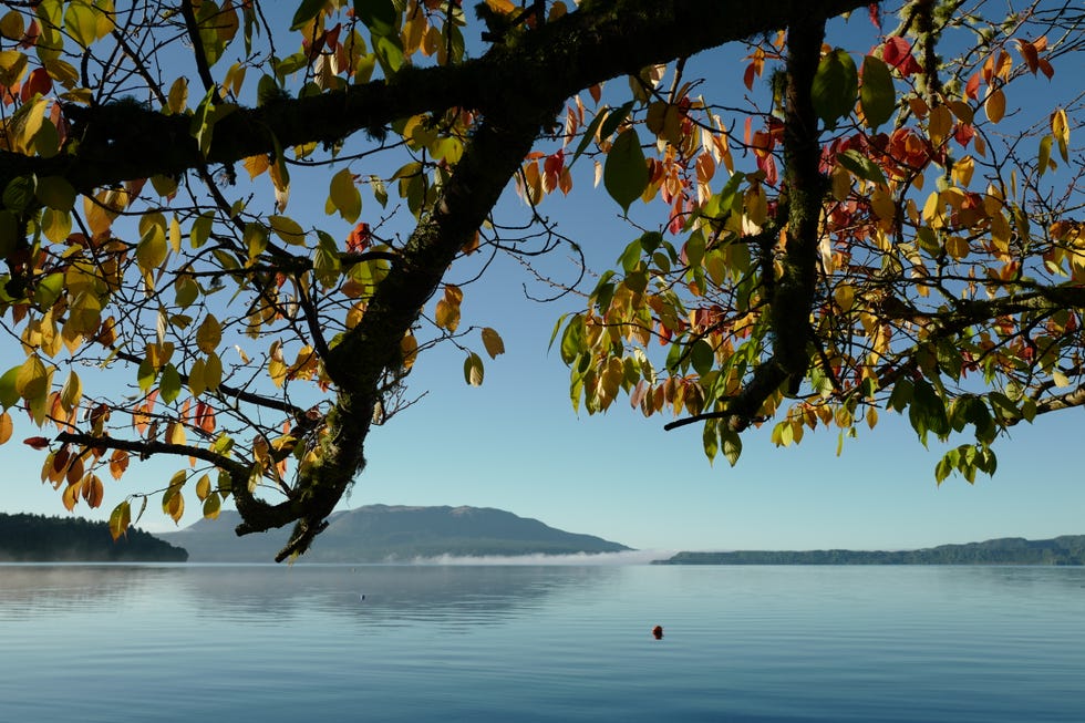 New Zealand Hopes For Tourism Boom After Opening Borders With Australia For Trans-Tasman Travel Bubble