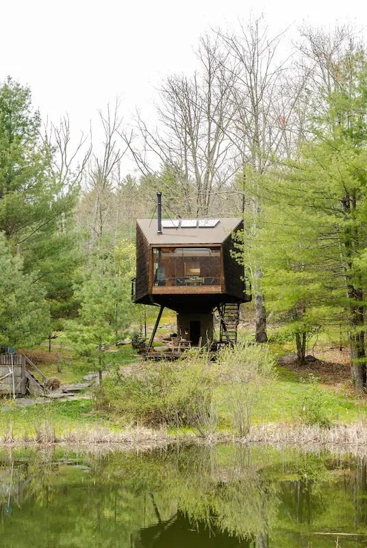 a small building in a forest a small building in a forest
