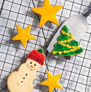 holiday cookie cutouts