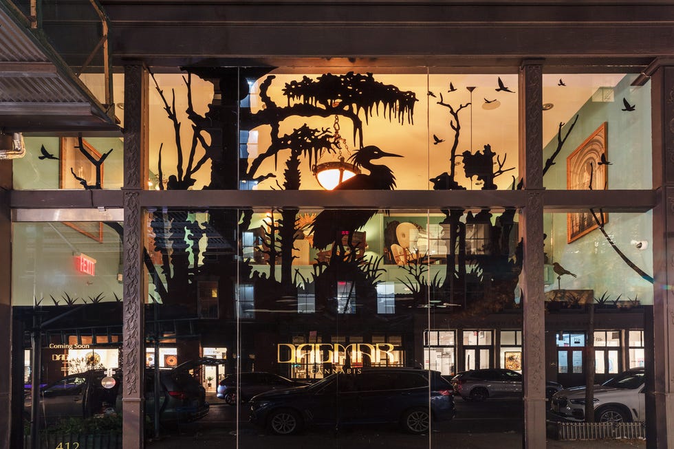 dagmar cannabis soho